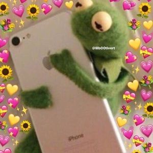 Meet your Posher, Sasha